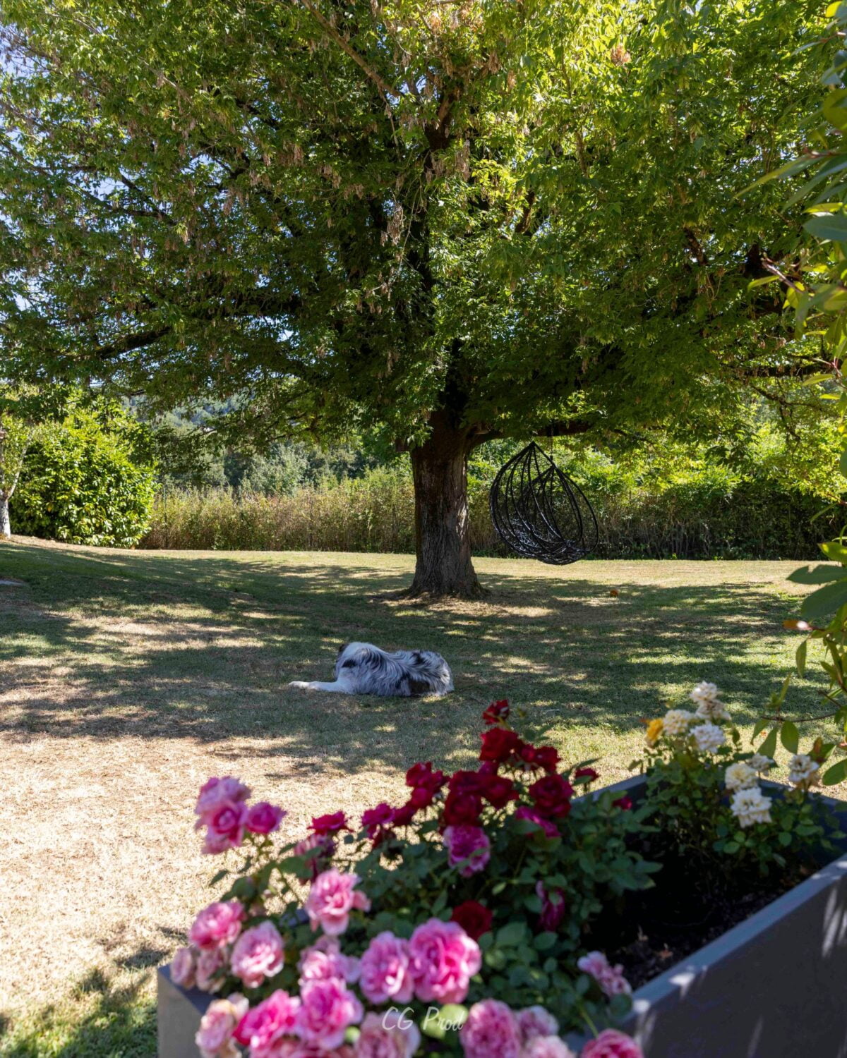 hotel restaurant nature correze lot 4
