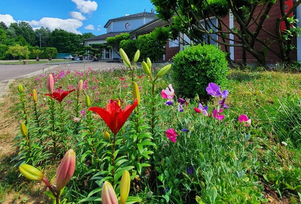 Une gite des jardins de l'Eqynox à Vitry le Francois