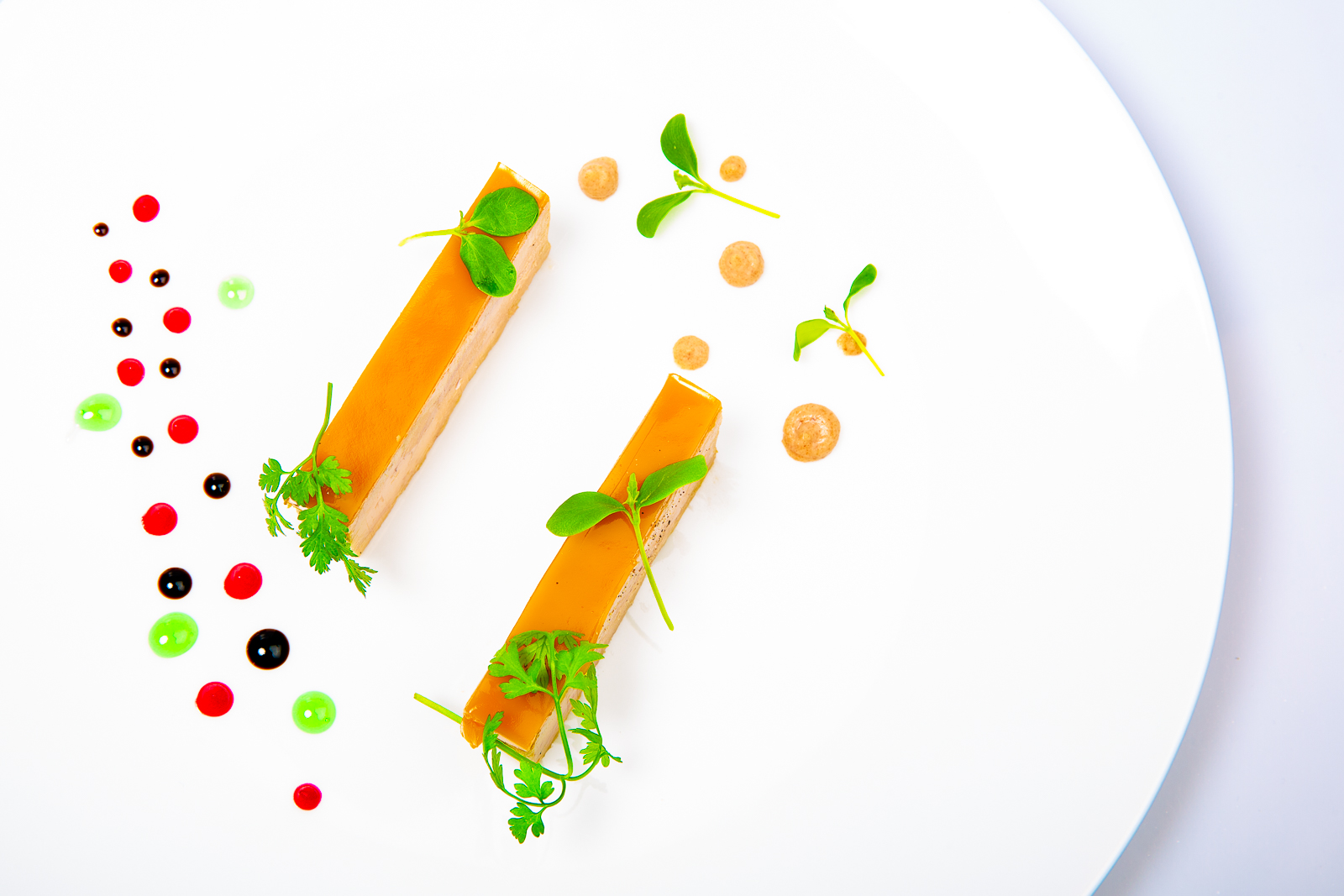 restaurant gastronomique gers domaine de baulieu auch  8