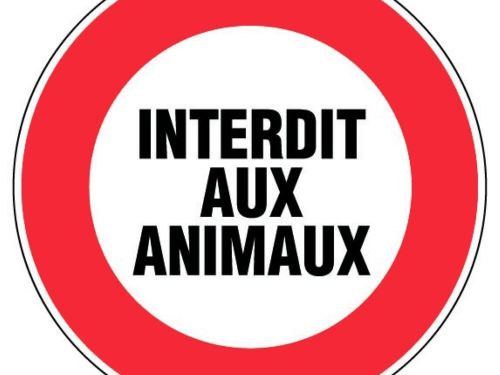 animaux 2