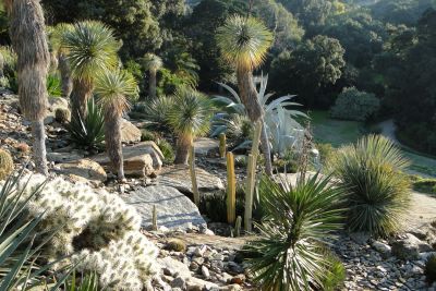 Le Jardin du Rayol