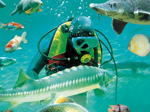 Le Parc Aquarium du Périgord Noir