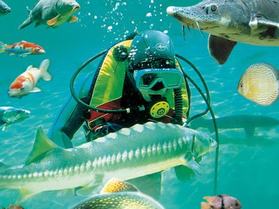 Le Parc Aquarium du Perigord Noir