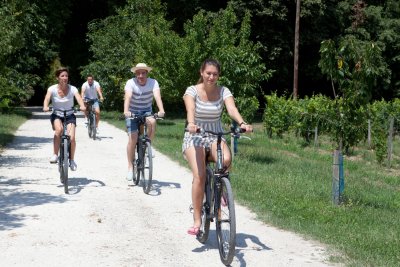 Bike rental