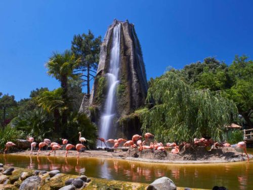 La Palmyre Zoo