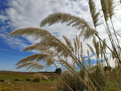 IMG20241005154643