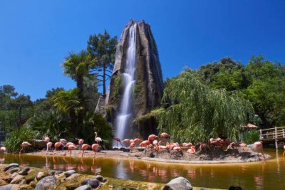 le zoo de la palmyre