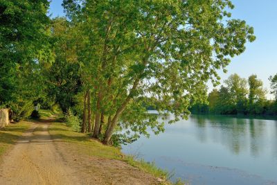 Direct access to the river