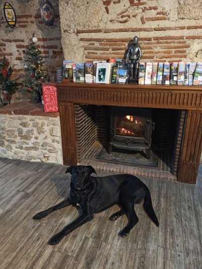 Animaux Bienvenue 