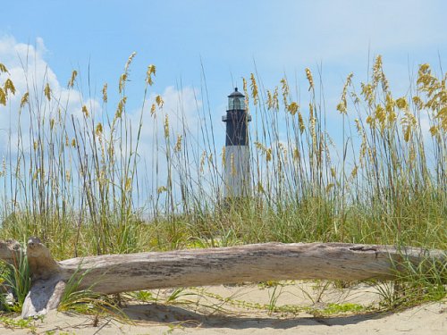 La Plage de l'Espiguette