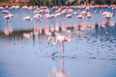 jd designs H5EGGn8FXA8 unsplash