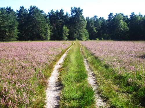 Hiking Trails