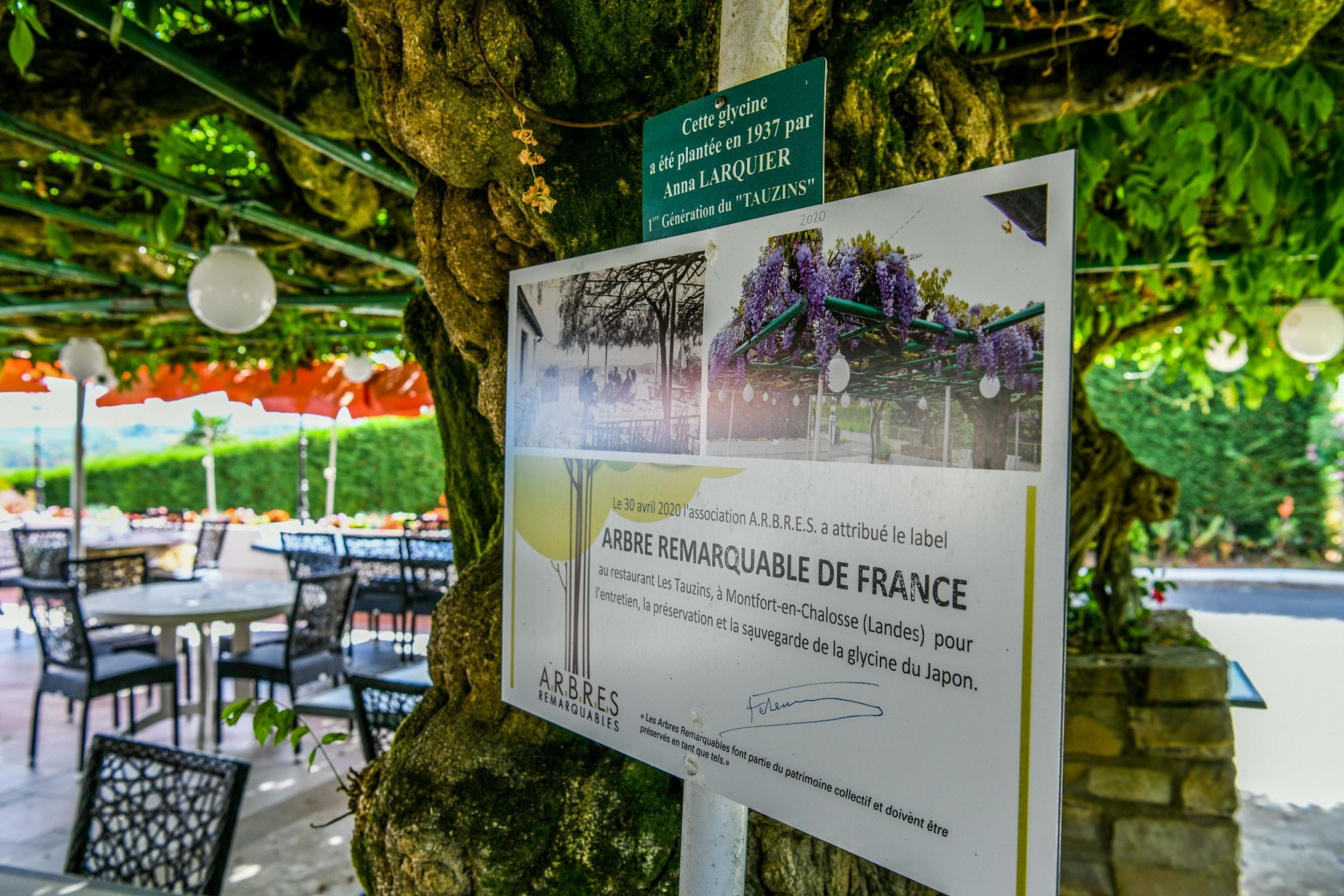 Aux Tauzins Hotel Restaurant les landes 26 1