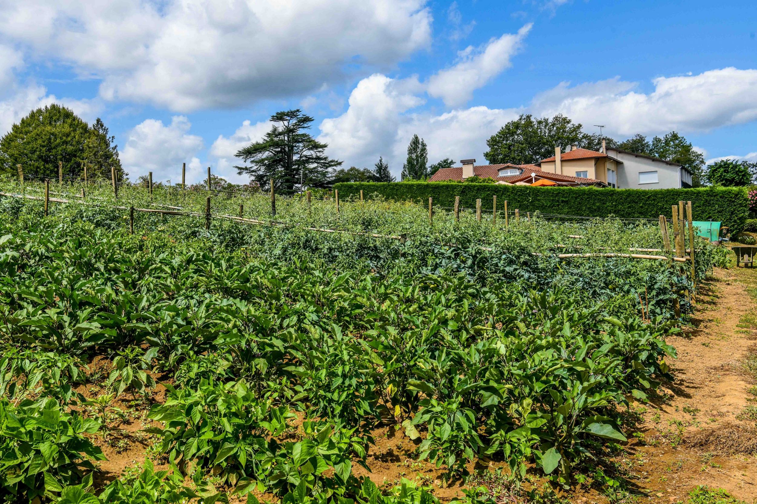 Aux Tauzins Hotel Restaurant les landes 40