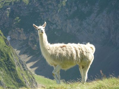Le nostre migliori offerte, tariffe e disponibilità sono qui