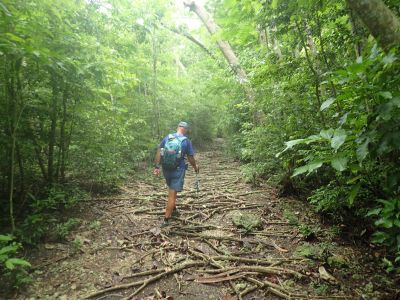 The most beautiful excursions from your hotel in Marie Galante