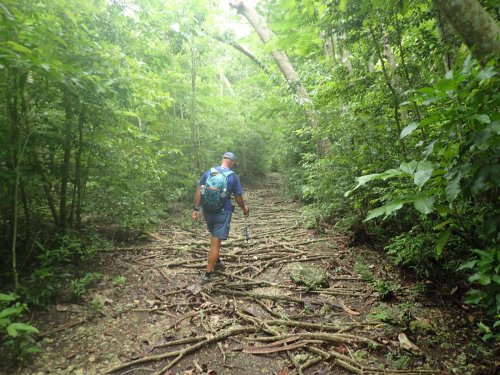 The most beautiful excursions from your hotel in Marie Galante